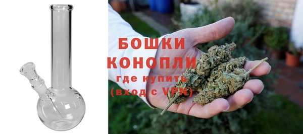 амф Няндома