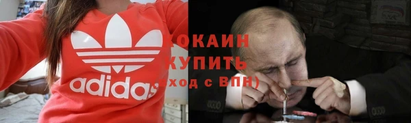 амф Няндома