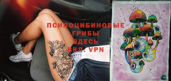 амф Няндома
