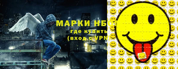 хмурый Абаза