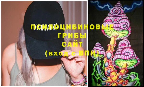 амф Няндома