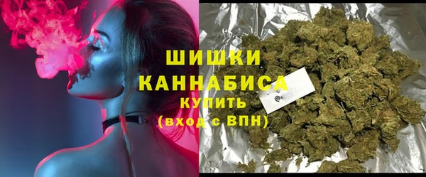 амф Няндома