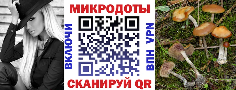 Псилоцибиновые грибы Magic Shrooms  закладки  Слюдянка 